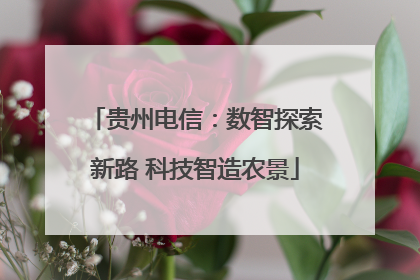 贵州电信：数智探索新路 科技智造农景