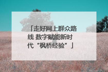 走好网上群众路线 数字赋能新时代“枫桥经验”