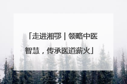 走进湘鄂｜领略中医智慧，传承医道薪火
