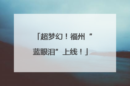 超梦幻！福州“蓝眼泪”上线！