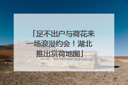 足不出户与荷花来一场浪漫约会！湖北推出赏荷地图
