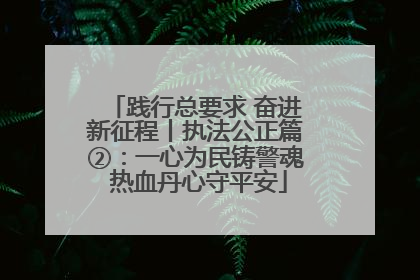 践行总要求 奋进新征程丨执法公正篇②：一心为民铸警魂 热血丹心守平安