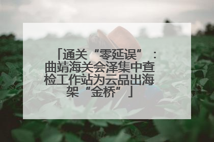 通关“零延误”：曲靖海关会泽集中查检工作站为云品出海架“金桥”
