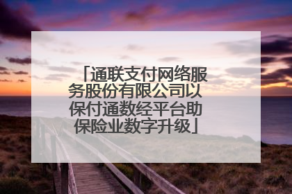 通联支付网络服务股份有限公司以保付通数经平台助保险业数字升级