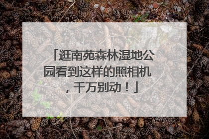 逛南苑森林湿地公园看到这样的照相机，千万别动！