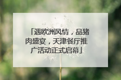 遇欧洲风情，品猪肉盛宴，天津餐厅推广活动正式启幕