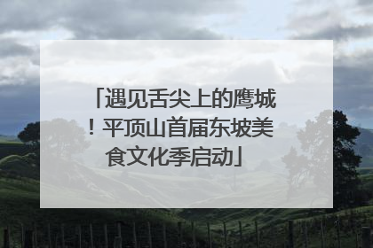 遇见舌尖上的鹰城！平顶山首届东坡美食文化季启动