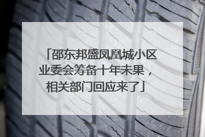 邵东邦盛凤凰城小区业委会筹备十年未果，相关部门回应来了