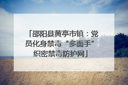邵阳县黄亭市镇：党员化身禁毒“多面手” 织密禁毒防护网