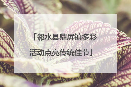 邻水县鼎屏镇多彩活动点亮传统佳节