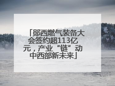 郧西燃气装备大会签约超113亿元，产业“链”动中西部新未来