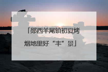 郧西羊尾镇初夏烤烟地里好“丰”景