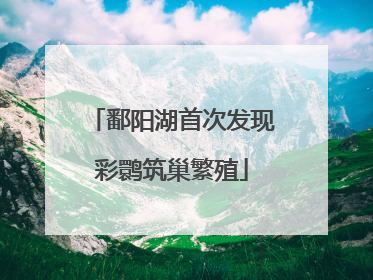 鄱阳湖首次发现彩鹮筑巢繁殖