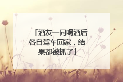 酒友一同喝酒后各自驾车回家，结果都被抓了