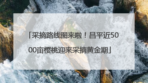 采摘路线图来啦！昌平近5000亩樱桃迎来采摘黄金期