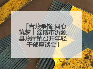青燕争锋 同心筑梦丨淄博市沂源县燕崖镇召开年轻干部座谈会