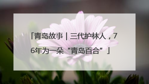 青岛故事｜三代护林人，76年为一朵“青岛百合”