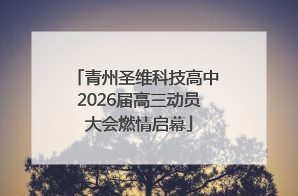 青州圣维科技高中2026届高三动员大会燃情启幕