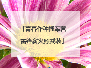 青春作种播军营 雷锋薪火照戎装