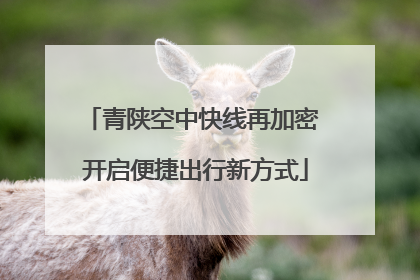 青陕空中快线再加密 开启便捷出行新方式
