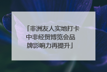 非洲友人实地打卡 中非经贸博览会品牌影响力再提升