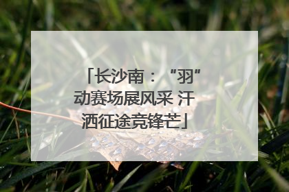 长沙南：“羽”动赛场展风采 汗洒征途竞锋芒