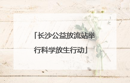 长沙公益放流站举行科学放生行动