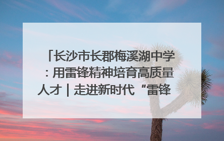 长沙市长郡梅溪湖中学：用雷锋精神培育高质量人才｜走进新时代“雷锋传人 长沙榜样”