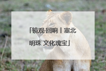 镜观·回响丨塞北明珠 文化瑰宝