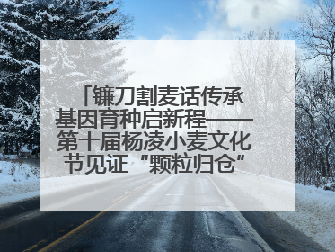 镰刀割麦话传承 基因育种启新程——第十届杨凌小麦文化节见证“颗粒归仓”时空跨越