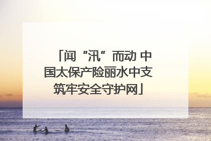 闻“汛”而动 中国太保产险丽水中支筑牢安全守护网