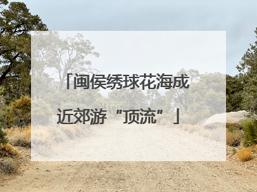 闽侯绣球花海成近郊游“顶流”