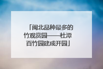闽北品种最多的竹观赏园——杜潭百竹园建成开园
