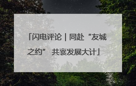 闪电评论｜同赴“友城之约” 共襄发展大计
