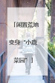 闲置荒地变身“小鹿菜园”