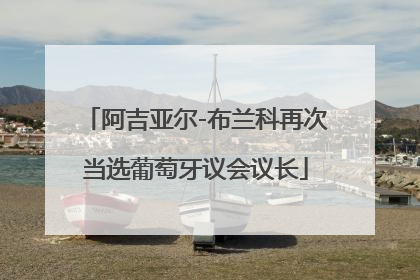 阿吉亚尔-布兰科再次当选葡萄牙议会议长