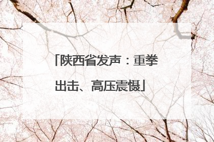 陕西省发声：重拳出击、高压震慑