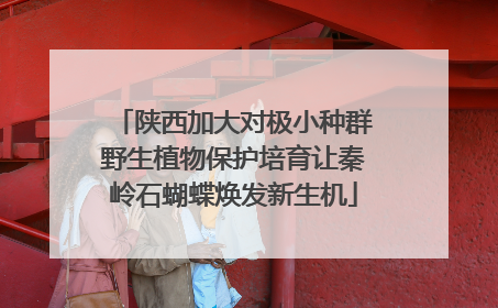 陕西加大对极小种群野生植物保护培育让秦岭石蝴蝶焕发新生机