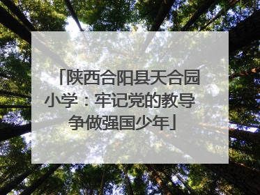 陕西合阳县天合园小学：牢记党的教导 争做强国少年
