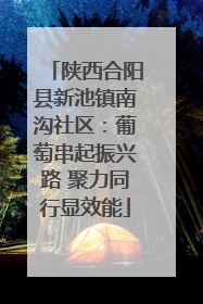 陕西合阳县新池镇南沟社区：葡萄串起振兴路 聚力同行显效能