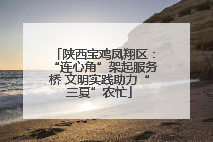 陕西宝鸡凤翔区：“连心角”架起服务桥 文明实践助力“三夏”农忙