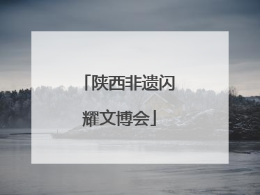 陕西非遗闪耀文博会