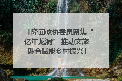 隆回政协委员聚焦“亿年龙洞” 推动文旅融合赋能乡村振兴