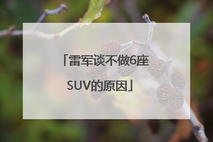 雷军谈不做6座SUV的原因