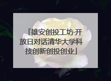 雄安创投工坊·开放日对话清华大学科技创新创投创业