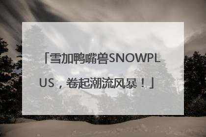 雪加鸭嘴兽SNOWPLUS，卷起潮流风暴！
