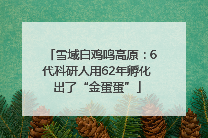 雪域白鸡鸣高原：6代科研人用62年孵化出了“金蛋蛋”