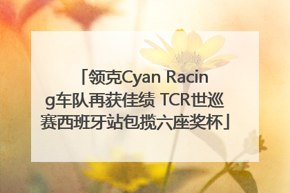 领克Cyan Racing车队再获佳绩 TCR世巡赛西班牙站包揽六座奖杯