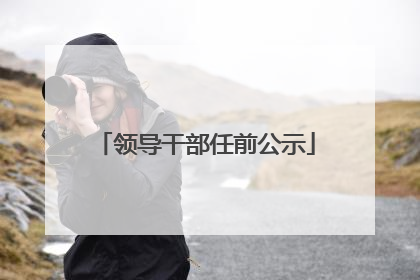 领导干部任前公示