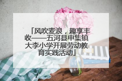 风吹麦浪，趣享丰收——五河县申集镇大李小学开展劳动教育实践活动